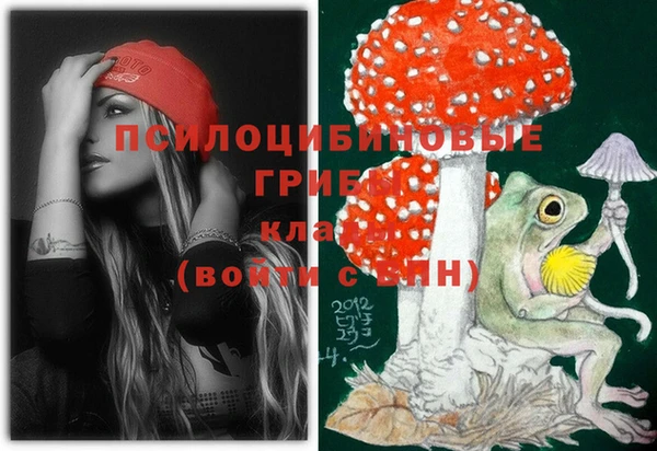 меф Арсеньев